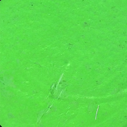 Pastel Green 510 .61oz/18ml 